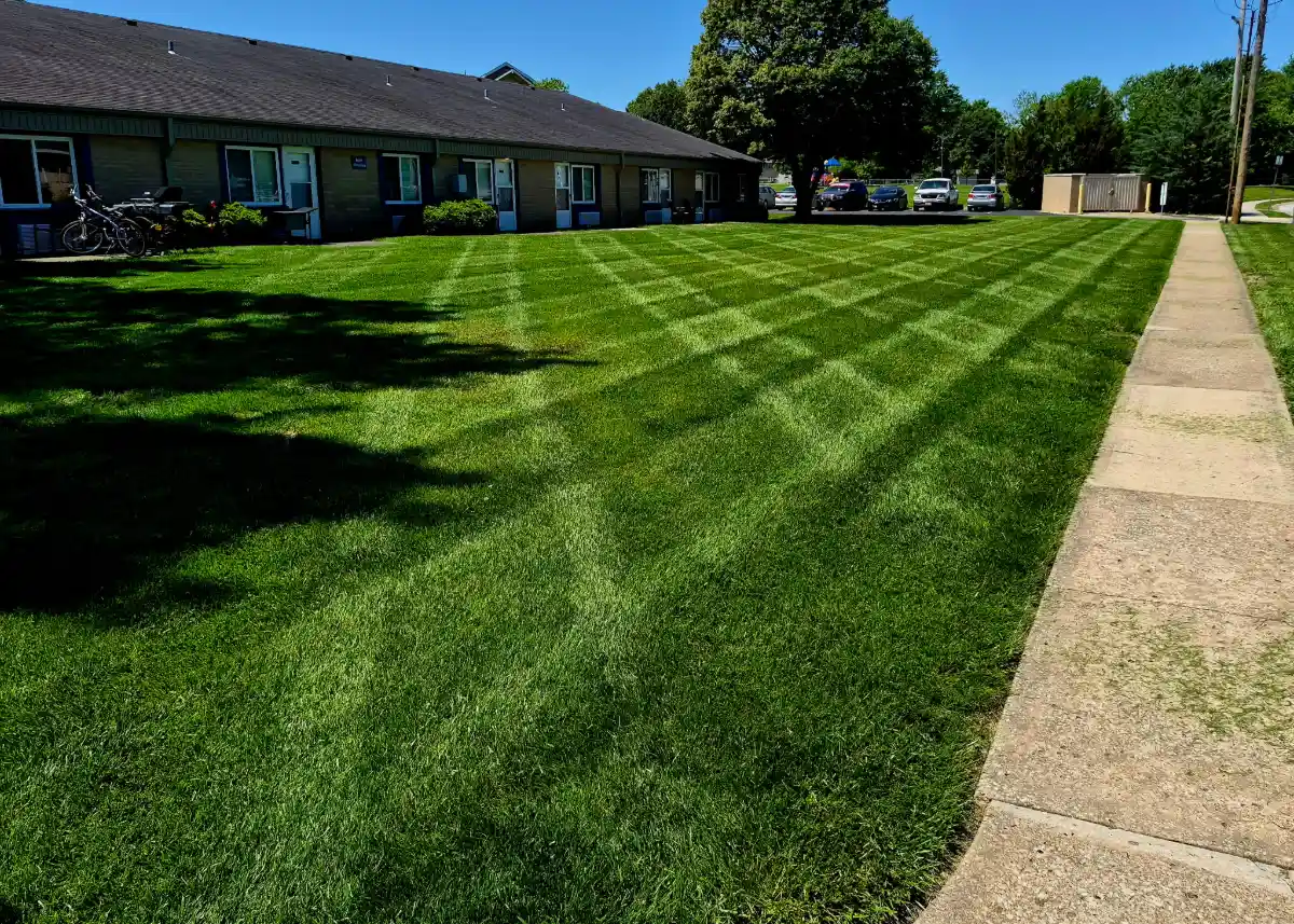 Landscaping